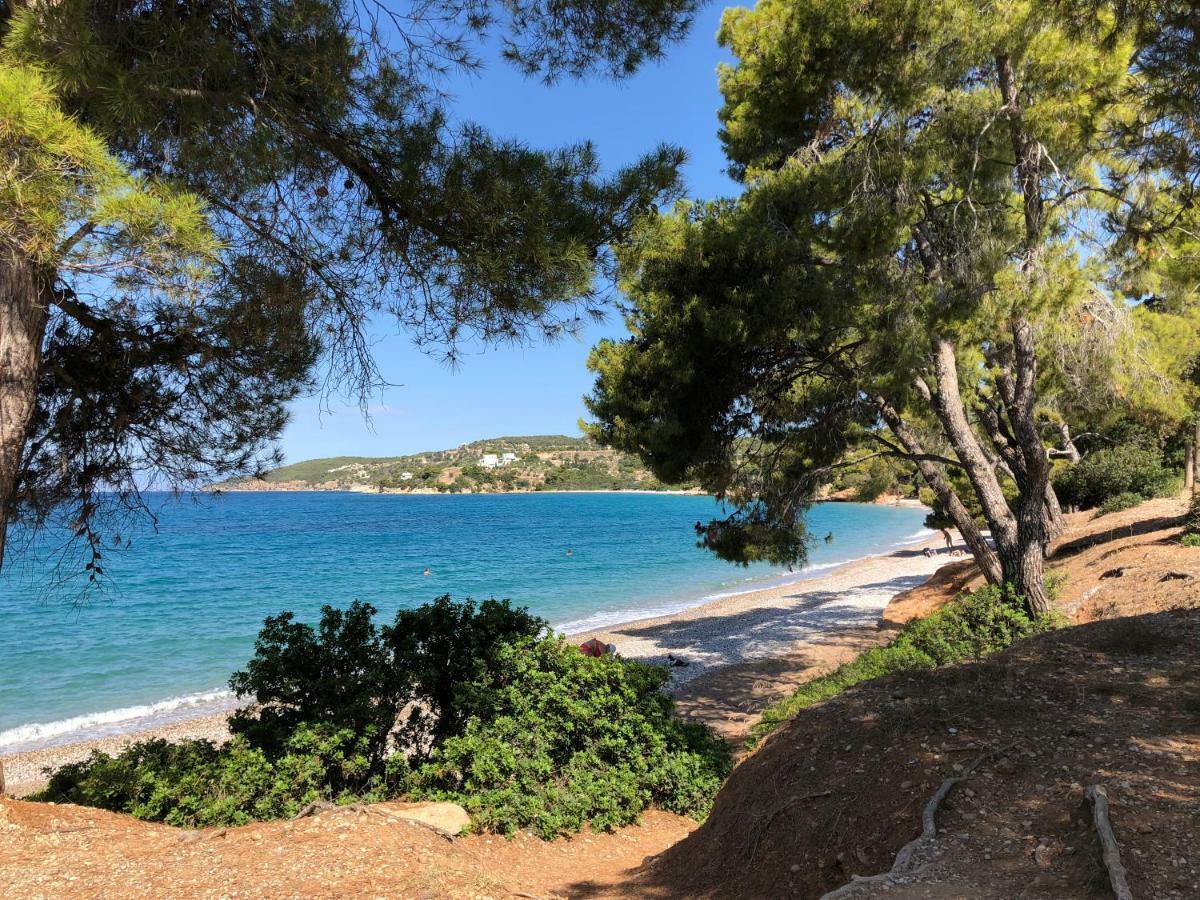 Villa Marina بورتو خيلي المظهر الخارجي الصورة